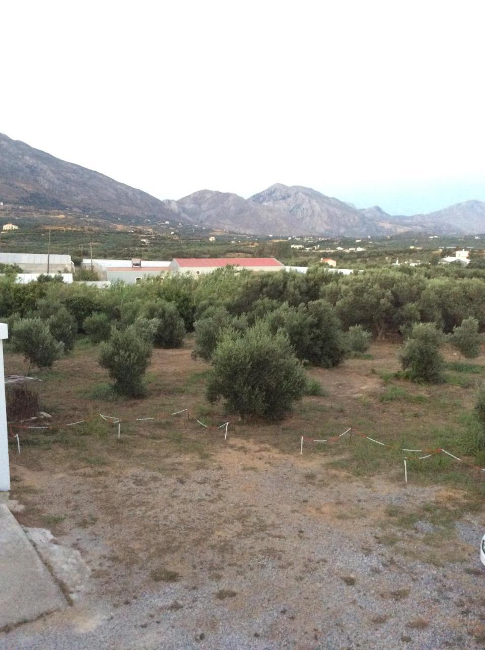Elena Rooms Plakias Dış mekan fotoğraf